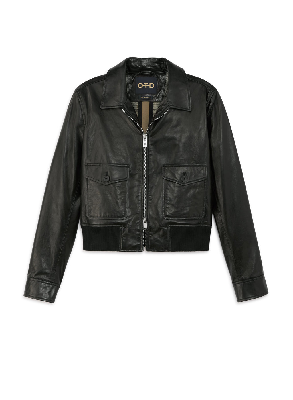Leather Aviator Jacket